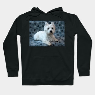 Westie Hoodie